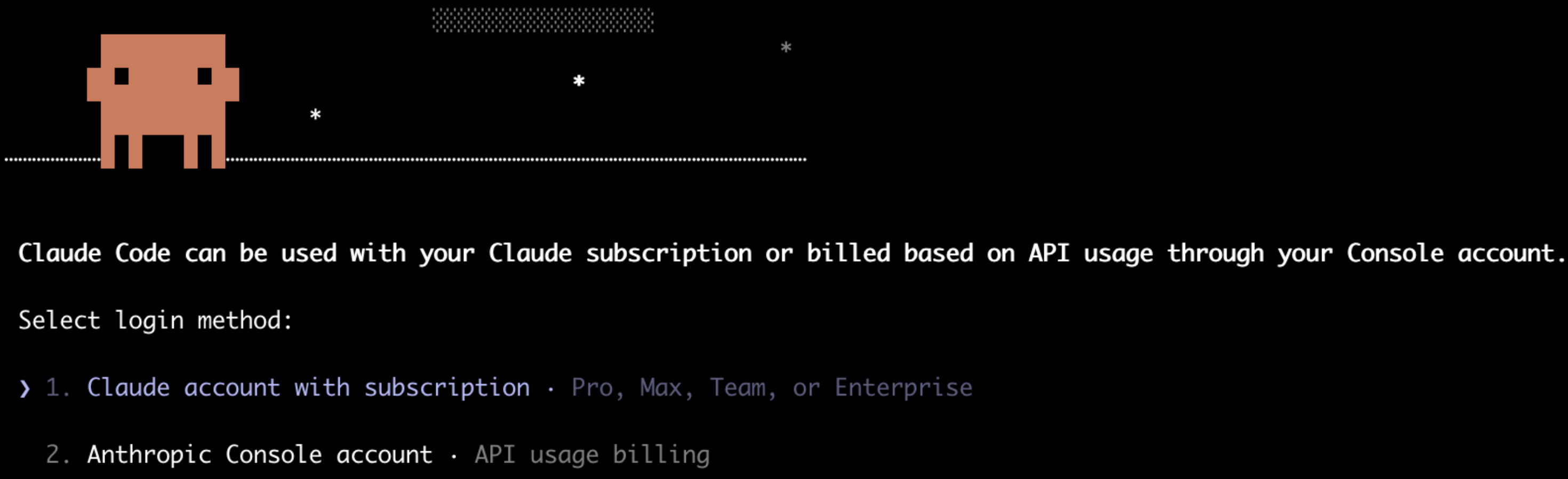 Claude Code terminal showing welcome screen after first launch