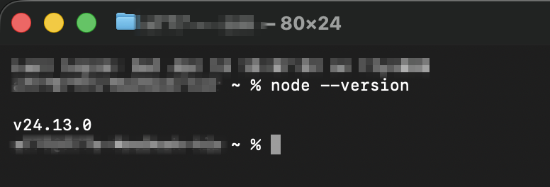 Terminal mostrando a saída node --version v22
