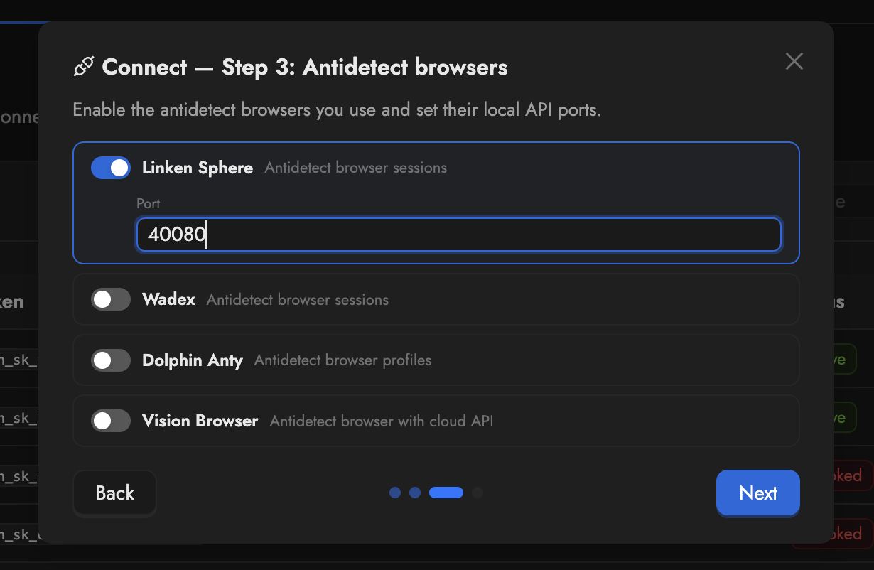 Etapa 3 do assistente Connect mostrando alternâncias de navegador com Linken Sphere ativada e campo de porta preenchido